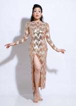 Stage Tango Dress SH1419