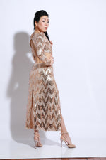 Stage Tango Dress SH1419